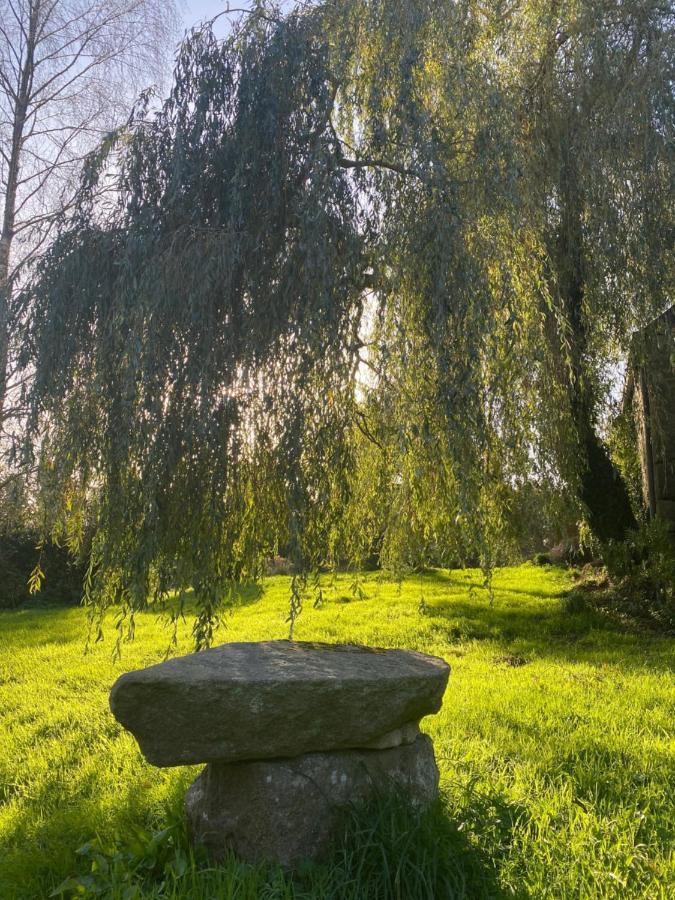 Domaine De La Blanche Hermine Plounerin ภายนอก รูปภาพ