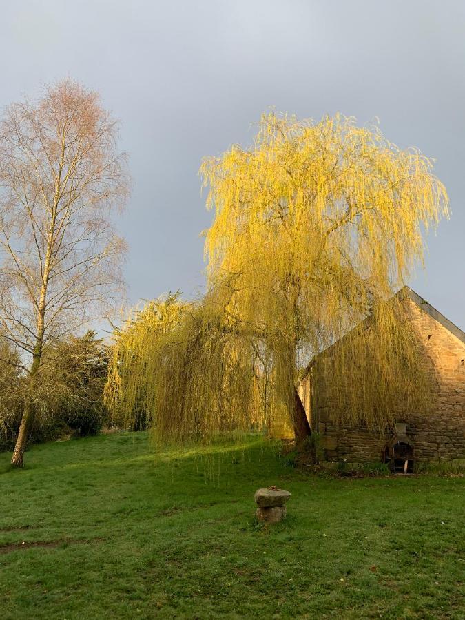 Domaine De La Blanche Hermine Plounerin ภายนอก รูปภาพ