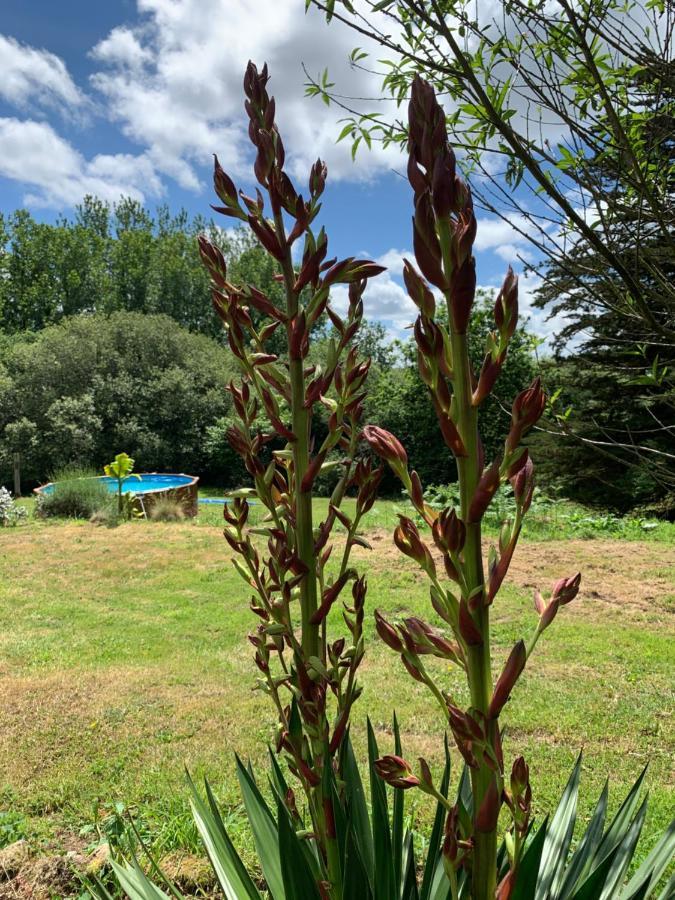 Domaine De La Blanche Hermine Plounerin ภายนอก รูปภาพ