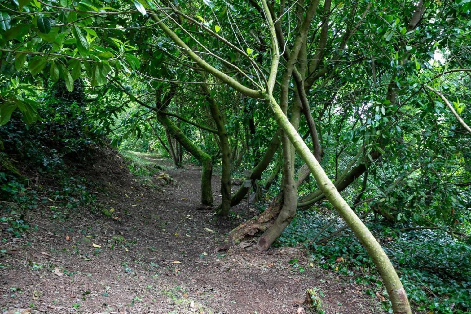 Domaine De La Blanche Hermine Plounerin ภายนอก รูปภาพ